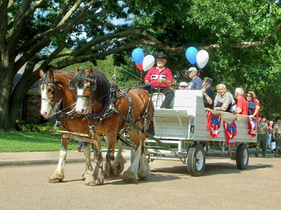 Spring Creek Memorial Day Parade 2009 07.JPG